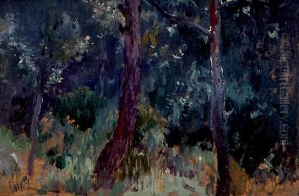 Paisaje Nocturno Oil Painting by Eliseu Meifren i Roig