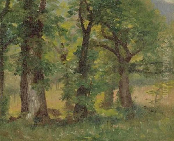 Sous-bois Oil Painting by Barthelemy Menn