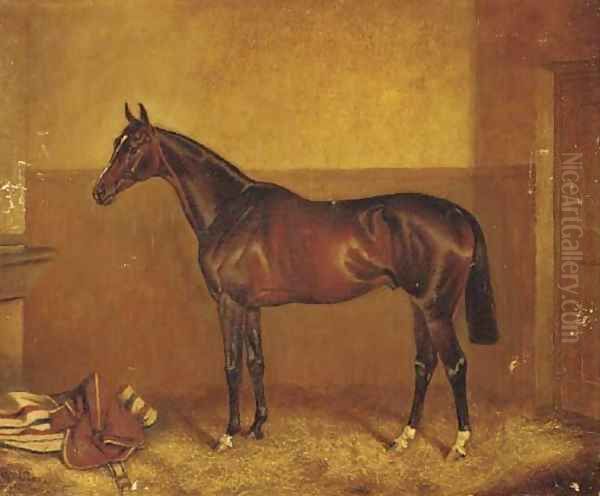 General Peace, a dark brown racehorse in a stable Oil Painting by John Alfred Wheeler