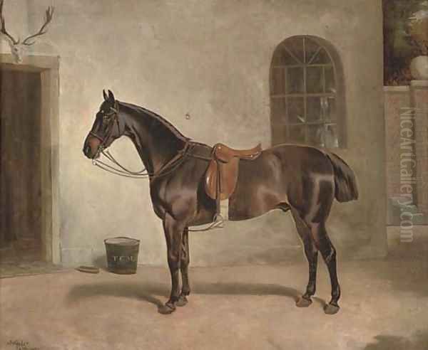 A saddled chestnut hunter outside the stables Oil Painting by John Alfred Wheeler