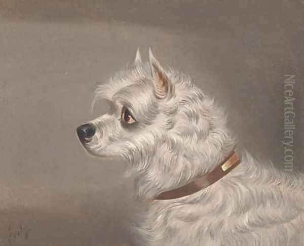 A skye terrier Oil Painting by John Alfred Wheeler