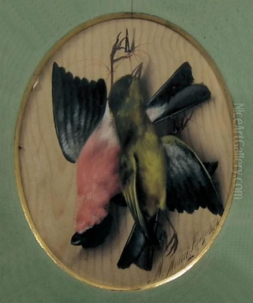 Still Lives Each Depicting Two Differing Dead Birds Hung On A Wooden Board Oil Painting by Michaelangelo Meucci