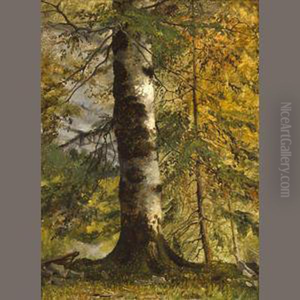 A Study Of A Tree Oil Painting by Achille-Etna Michallon