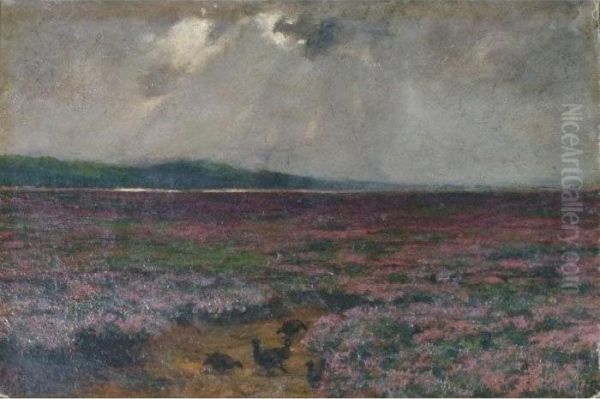 Tract Of Scottish Heath Land With Five Grouse In The Foreground Oil Painting by John Guille Millais