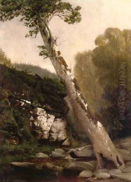 Sycamore, Catskill Clove, Below Haines Falls Oil Painting by John Williamson