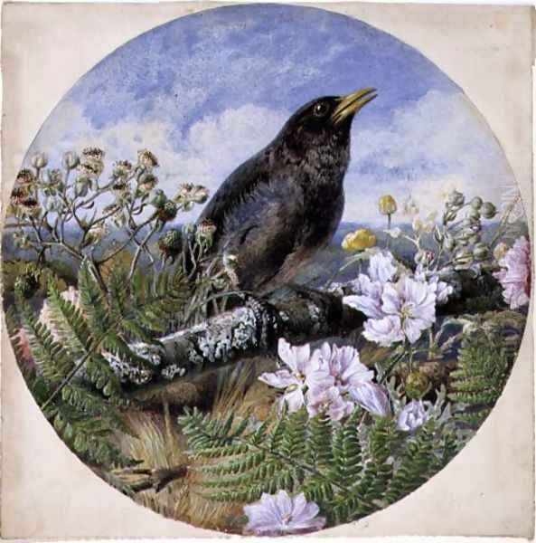 Blackbird, 1864 Oil Painting by Harrison William Weir