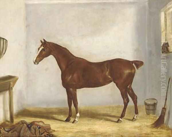 A chestnut hunter in a stable Oil Painting by William Webb