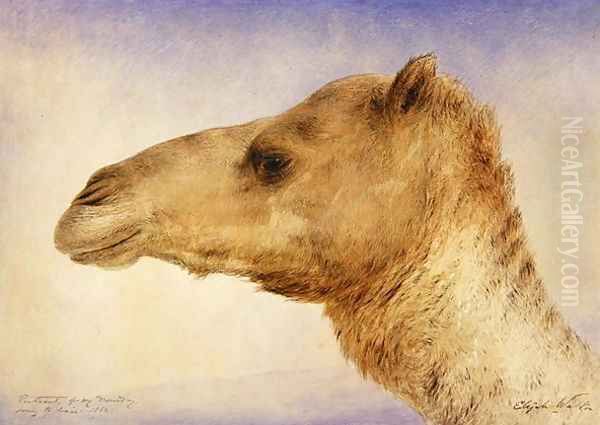 Portrait of the Artist's Dromedary, 1862 Oil Painting by Elijah Walton