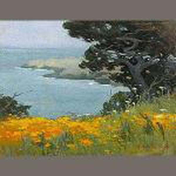 Point Lobos Oil Painting by Mary Deneale Morgan