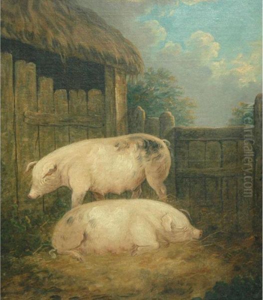 Pigs In A Sty Oil Painting by George Morland