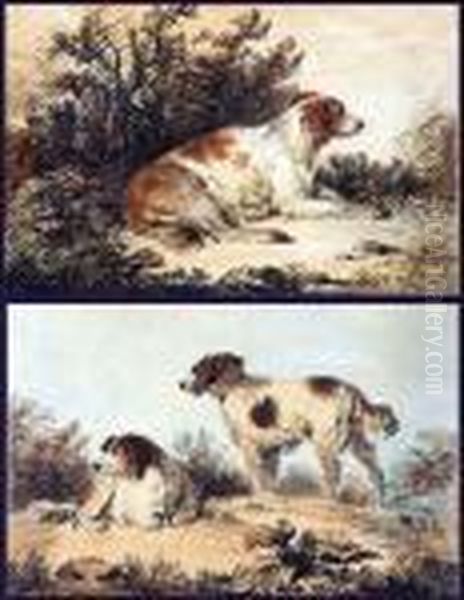 Dog Studies Oil Painting by George Morland