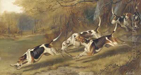 Hounds at full cry Oil Painting by Alfred Wheeler