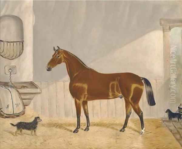 A chestnut hunter in a stable Oil Painting by Alfred Wheeler