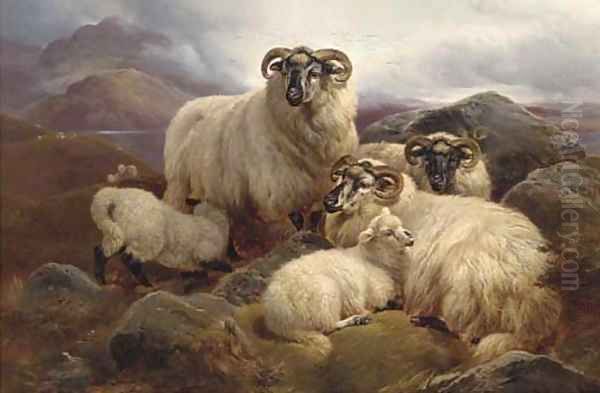 Sheep on the Welsh hills Oil Painting by William Watson