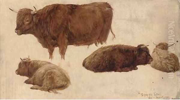 Highland cattle studies Oil Painting by James Lawton Wingate