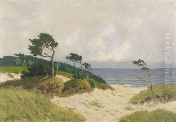 Dunen Mit Windfluchtern Am Weststrand Von Ahrenshoop Oil Painting by Paul Muller-Kaempff