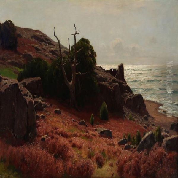 Late Summer At The Swedish Coast Oil Painting by Konrad Mueller-Kuerzwelly