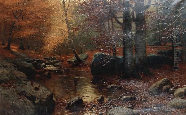 A Woodland Stream Oil Painting by Konrad Mueller-Kuerzwelly