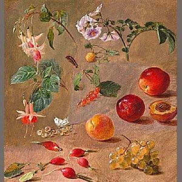 A Study Of Fruit, Flowers And Insects Oil Painting by William Mussill