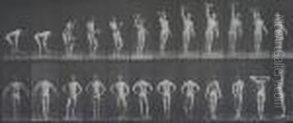 Animal Locomotion Plate No. 321 Oil Painting by Eadweard Muybridge