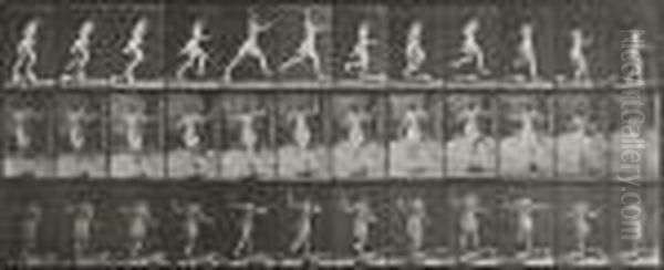 Animal Locomotion, Female Oil Painting by Eadweard Muybridge