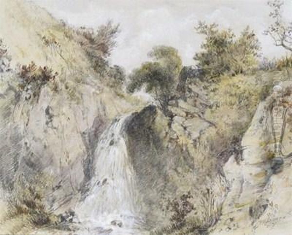 Study Of A Waterfall Oil Painting by Patrick, Peter Nasmyth