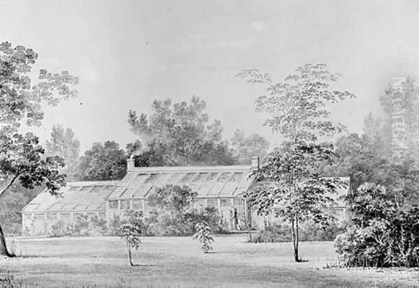 Greenhouse, David Hosack Estate, Hyde Park, New York (from Hoasack Album) Oil Painting by Thomas Kelah Wharton