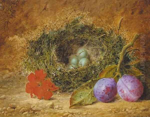 Geraniums, plums, and a bird's nest with eggs, on a mossy bank Oil Painting by William Ward