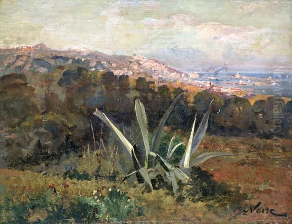 Agave Dans Un Champ Dominant La Baie D'alger Oil Painting by Maxime Noire