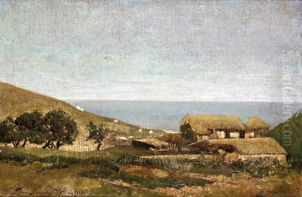 Paysage Cotier Des Environs D'alger Oil Painting by Maxime Noire