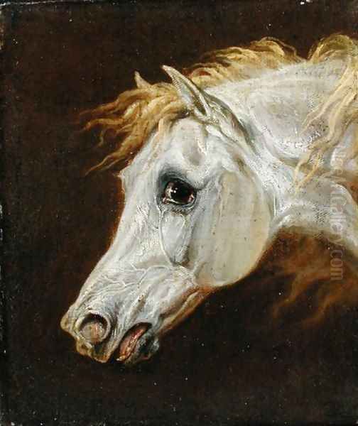 Head of a Grey Arabian Horse Oil Painting by Martin Theodore Ward