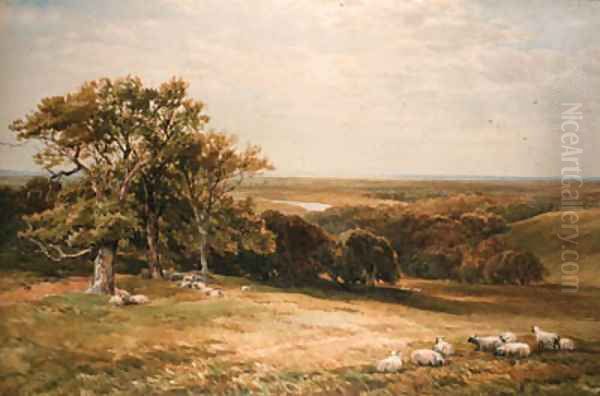 Sheep grazing in an extensive landscape Oil Painting by Edmund Morison Wimperis