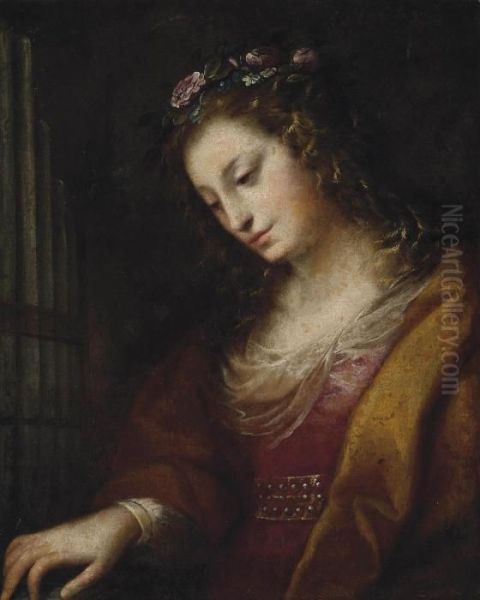 Saint Cecilia Oil Painting by Carlo Francesco Nuvolone