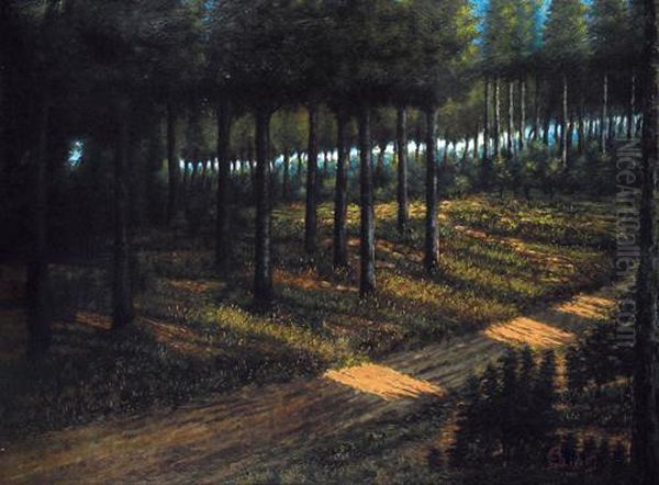 Il Bosco Oil Painting by Ercole Olivetti