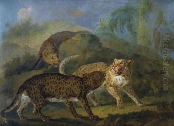 Trois Leopards Oil Painting by Jacques Charles Oudry