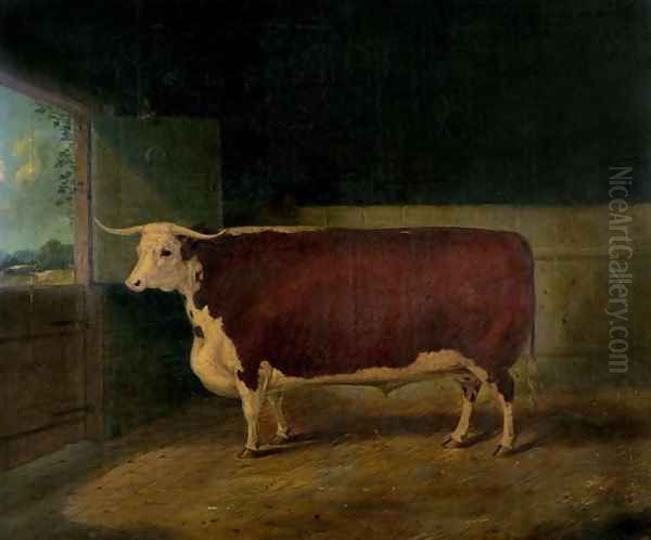 Portrait of a Prize Hereford Steer, 1874 Oil Painting by Richard Whitford