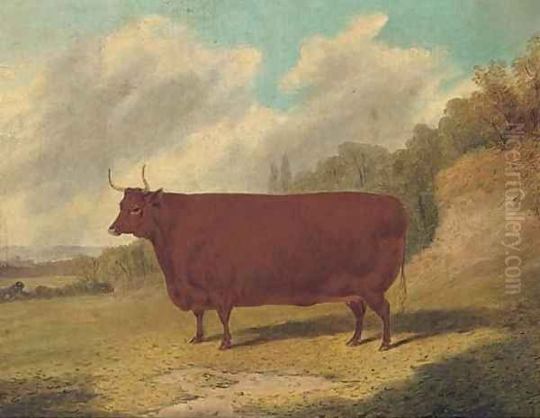 A prize cow in an extensive landscape Oil Painting by Richard Whitford