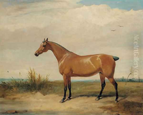 A bay hunter in an open landscape Oil Painting by Thomas Woodward