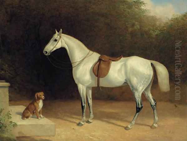 A saddled grey hunter, with a dog on a stone step, and a robin Oil Painting by Thomas Woodward