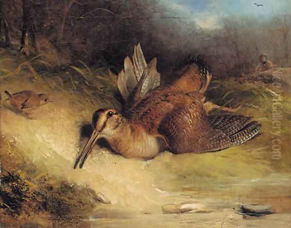 The dying woodcock Oil Painting by Thomas Woodward