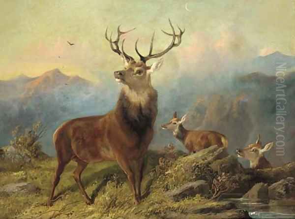 A stag and hinds in a landscape Oil Painting by Byron Webb