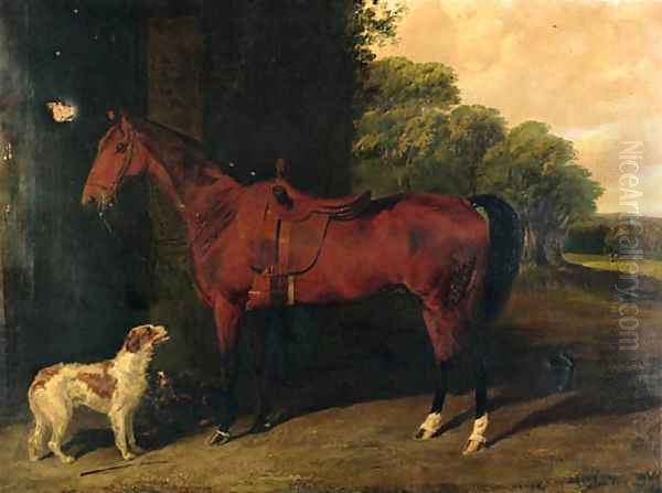 A Saddled bay Hunter, with dogs outside a stable Oil Painting by Byron Webb