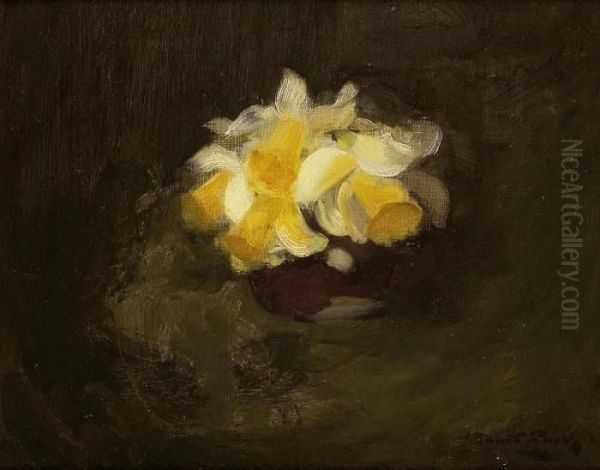 Daffodils Oil Painting by James Stuart Park