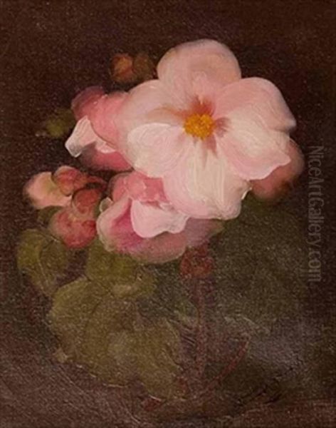 Still Life In Pink Oil Painting by James Stuart Park