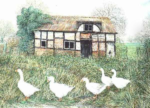 Geese Before a Timbered Cottage Oil Painting by Alexander Williams