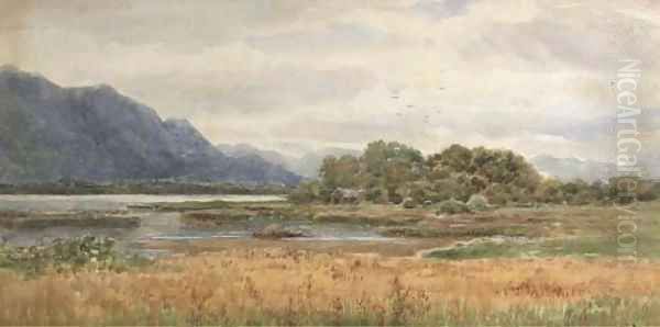 View from the Lake Hotel, Killarney Oil Painting by Alexander Williams