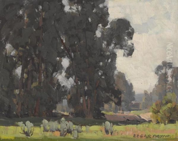 A Grove Of Trees Oil Painting by Edgar Alwin Payne