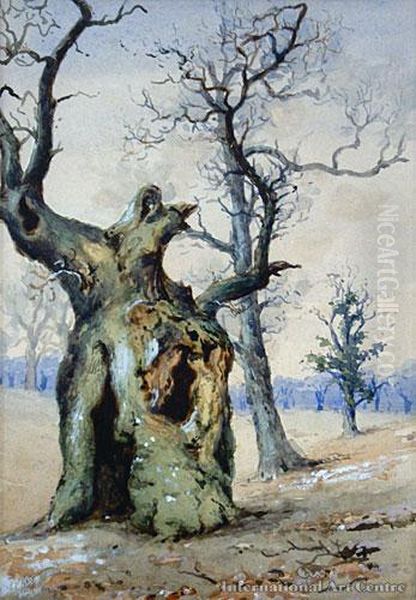 Tree Study Oil Painting by Edward William Payton