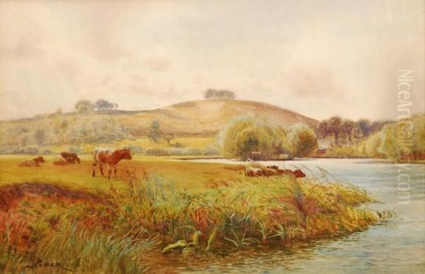 Cattle Watering At A Riverside With Hills In The Distance Oil Painting by John Pedder