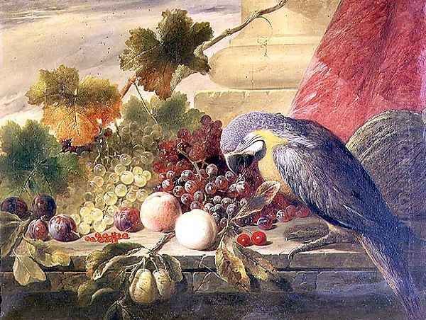 Still life of fruit and a parrot, 1855 by Thomas C. Ward